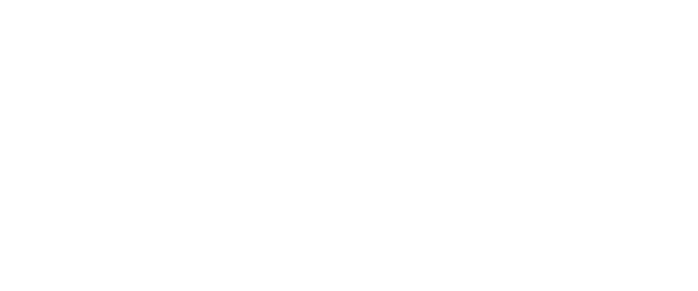 Logo Camvi